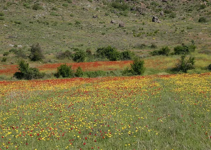 Vila Begonville Koycegiz (Mugla)
