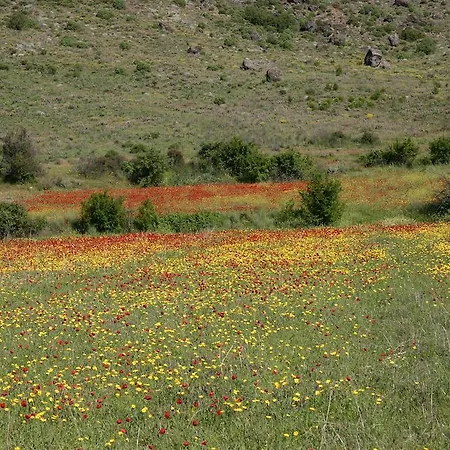 Villa Begonville Koycegiz (Mugla)